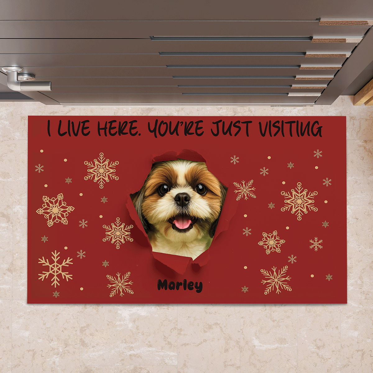 Custom Photo I LIVE HERE. YOU’RE JUST VISITING - Custom Home Decor Decorative Mat