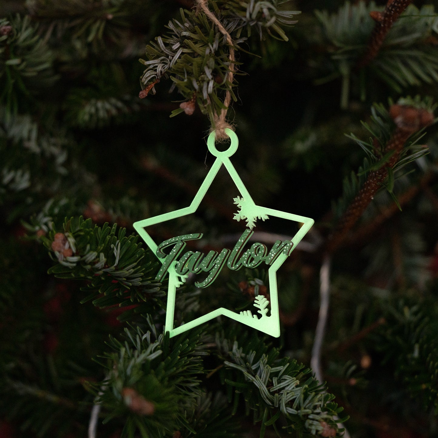 Personalized Glow In The Dark Wood and Luminous Acrylic Star Ornament