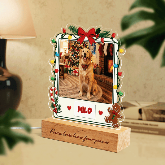 Personalized Pet Photo Christmas Night Light | Custom Pet Engraved Night Light