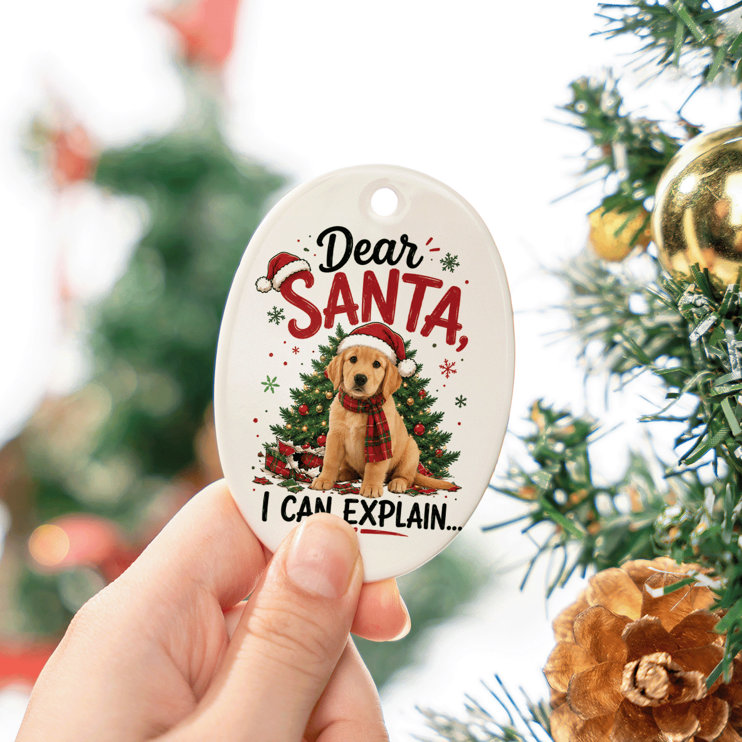 Personalized Dear Santa I Can Explain Pet Oval Ceramic Ornament, Custom Pet Photo Christmas Gift