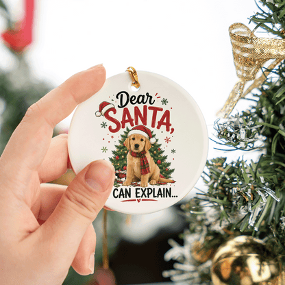Personalized Dear Santa I Can Explain Pet Oval Ceramic Ornament, Custom Pet Photo Christmas Gift