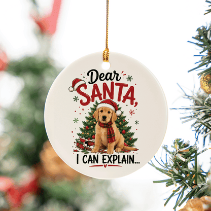 Personalized Dear Santa I Can Explain Pet Oval Ceramic Ornament, Custom Pet Photo Christmas Gift