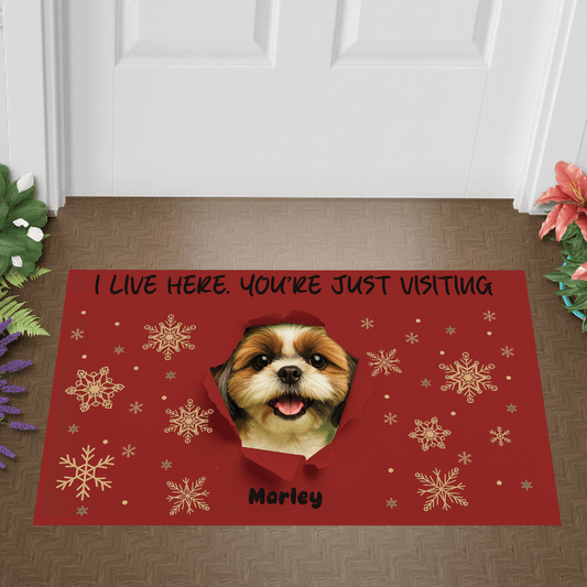 Custom Photo I LIVE HERE. YOU’RE JUST VISITING - Custom Home Decor Decorative Mat
