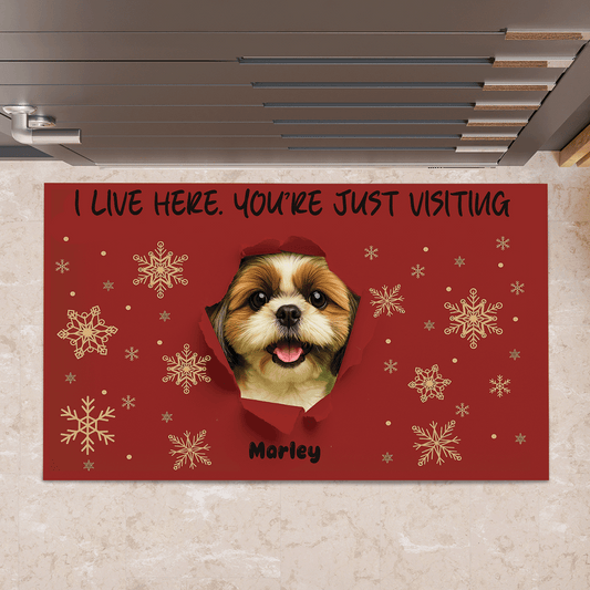 Custom Photo I LIVE HERE. YOU'RE JUST VISITING - Custom Home Decor Decorative Mat