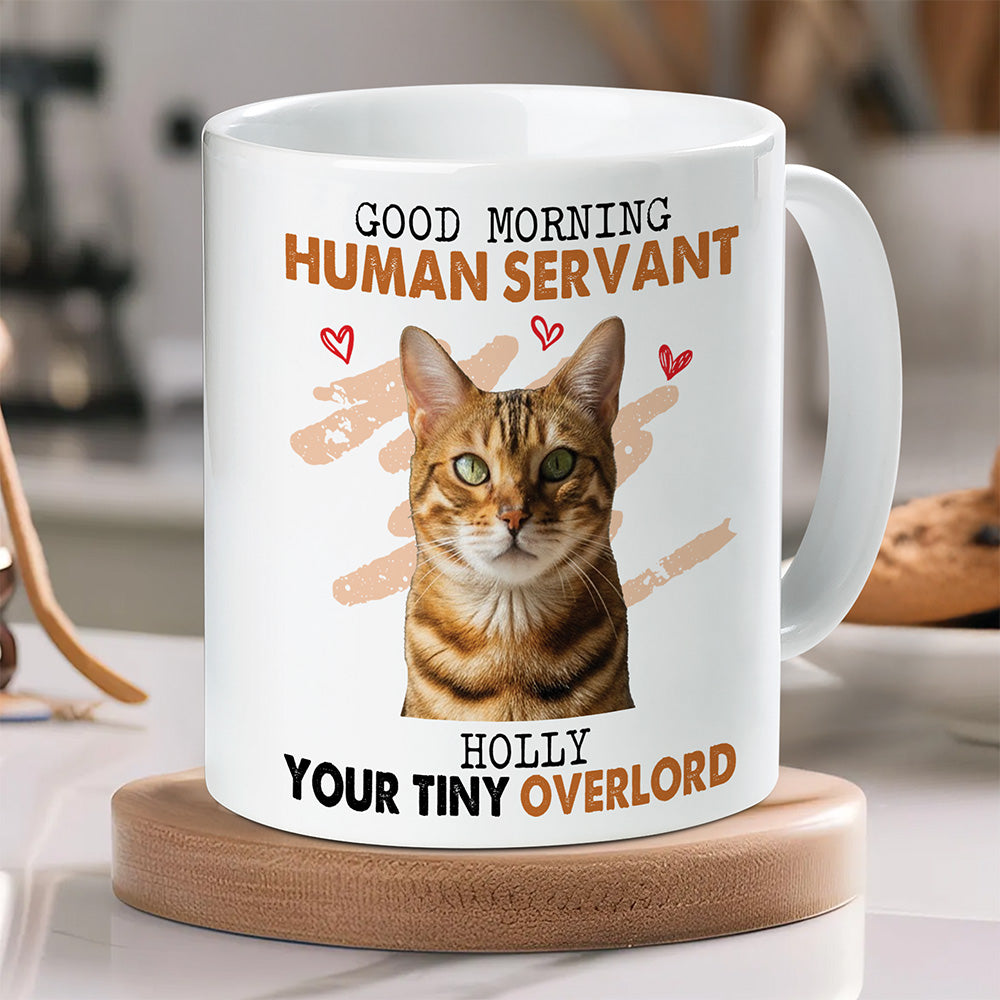 Personalized Funny Pet Overlord Mug