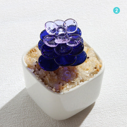 Personalized Succulent Glass Pot – Ocean Floral Planter Gift