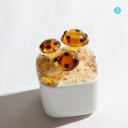 Personalized Mushroom Glass Pot – Ocean Floral Planter Gift