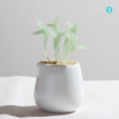 Personalized Mushroom Glass Pot – Ocean Floral Planter Gift
