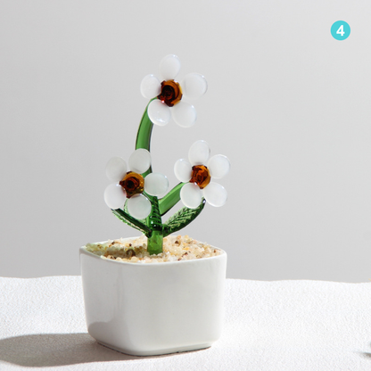 Personalized Daisy Glass Pot - Ocean Floral Planter Gift