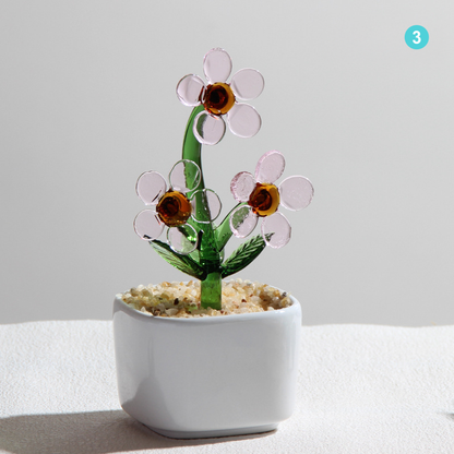 Personalized Daisy Glass Pot - Ocean Floral Planter Gift