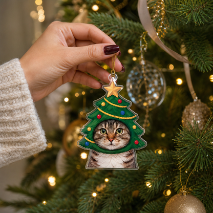 Hand hanging the Christmas tree cat photo ornament among gold baubles