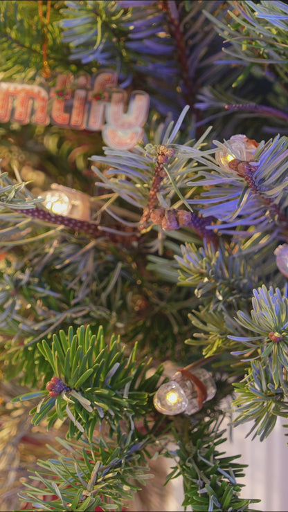 Personalized LGBT Couple Ceramic Acrylic Ornament