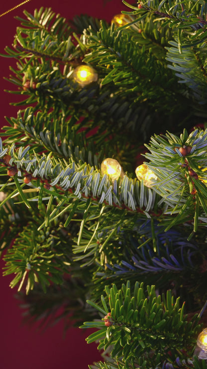 Personalized Christmas Tree Ocean Themed Glass and Acrylic Ornament