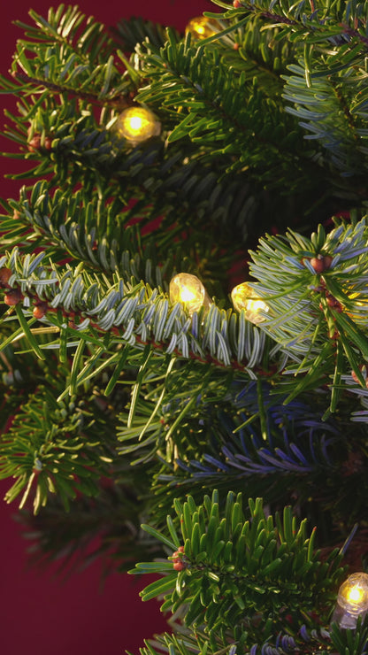Personalized Birds Of A Feather Glass and Acrylic Ornament