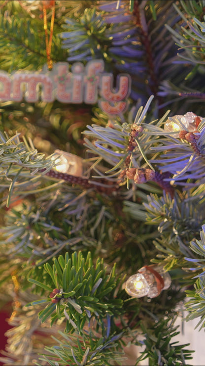 Personalized Rainbow Christmas Tree Ceramic Acrylic Ornament
