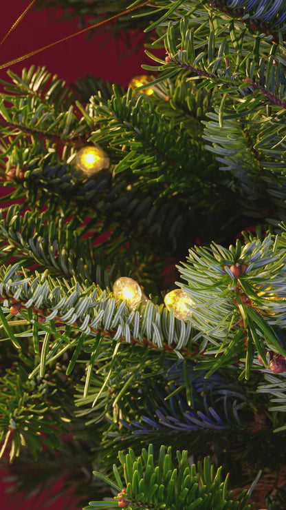 Love By A Cat - Personalized Cat Lover Ceramic and Acrylic Ornament